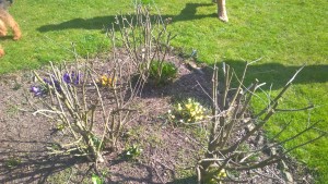 WP_20160319_12_08_24_Pro — kopia