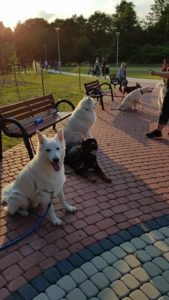 19894271_10211584423819369_655489391_n