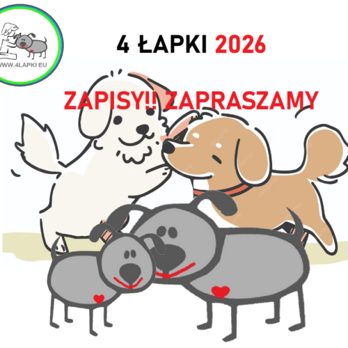 ZAPISY NA ZAJĘCIA W SEZONIE 2026